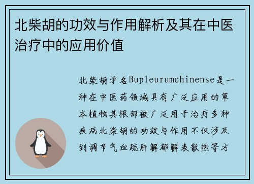 北柴胡的功效与作用解析及其在中医治疗中的应用价值